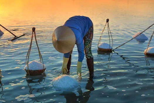 A farmer collects salt in a reflective salt field during sunrise, creating a scenic seashore view.