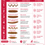 7 Types of Stool and What Each One Says About Your Gut