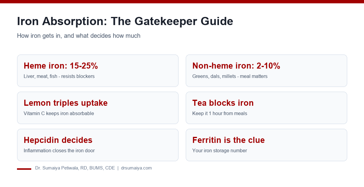 Iron absorption: heme vs non-heme, and the hepcidin gatekeeper