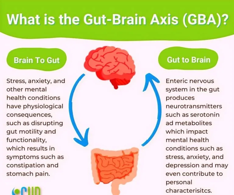 Protect Your Brain: Tips for Maintaining a Healthy Gut Microbiota
