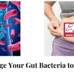 What Is the Best Bacteria for Weight Loss? Unraveling the Power of Your Gut Microbiome