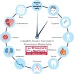 How to Measure and Slowdown Aging: Essential Tests and Recommendations