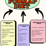 Mastering Digestive Health: A Comprehensive Guide to the Low-FODMAP Diet